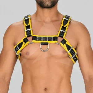 Leather Shoulder Harness