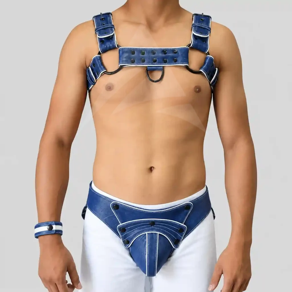 Leather Harness Set
